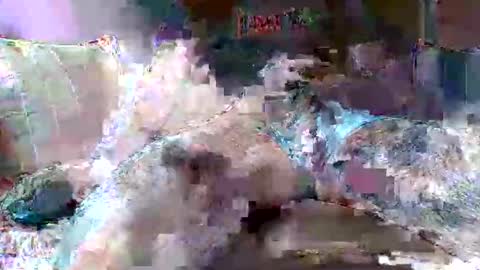 morboso2563 online show from 11.21.25