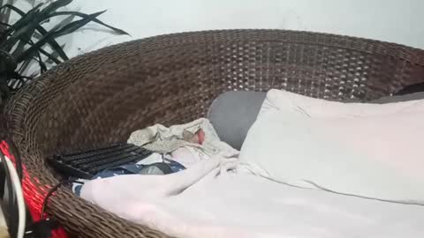 John john online show from 02.17.25