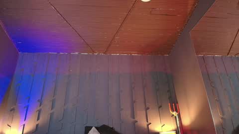 Morgana online show from 01.21.25