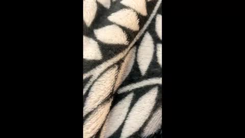 Morgan  Gina online show from 03.21.26