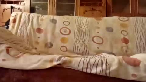 Nomadu online show from 12.11.24