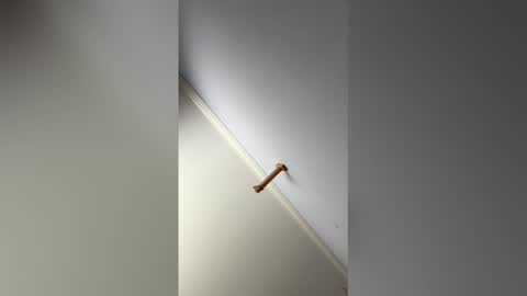 Snapshot of mr_hunter487927 chatting on 02.14.26 Hunter online show from 02.14.26