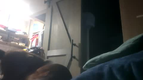 Snapshot of mr_morningstar441 chatting on 07.18.26 mr_morningstar441 online show from 07.18.26
