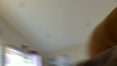 Sterling  Lena online show from 08.07.26
