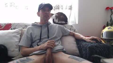 Snapshot of mrcock_col chatting on 04.08.26 mrcock_col online show from 04.08.26