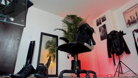 MrFrank. online show from 12.11.24