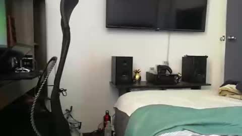 Snapshot of mrmiss_dannys chatting on 01.28.25 mrmiss_dannys online show from 01.28.25