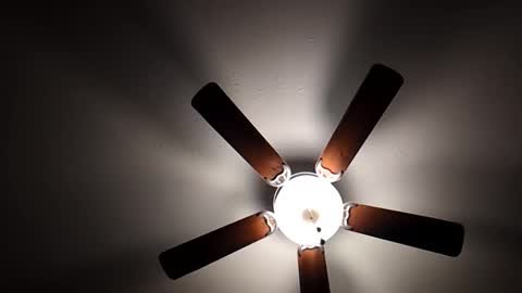 mrorange50187 online show from 12.01.24