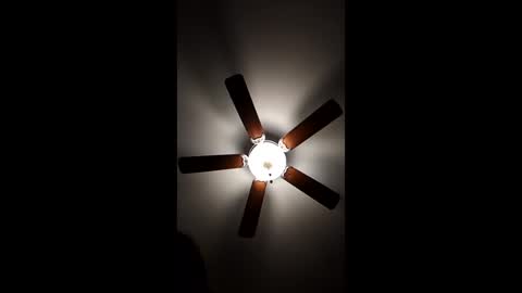 mrorange50187 online show from 12.18.24