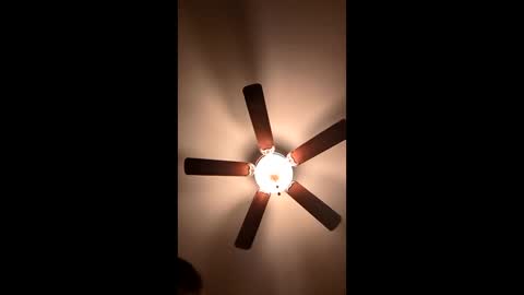 mrorange50187 online show from 01.04.25