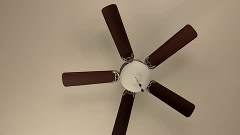 mrorange50187 online show from 01.08.25