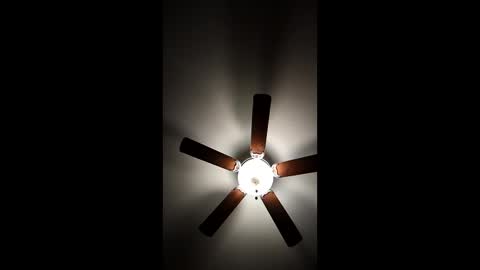 mrorange50187 online show from 01.08.25