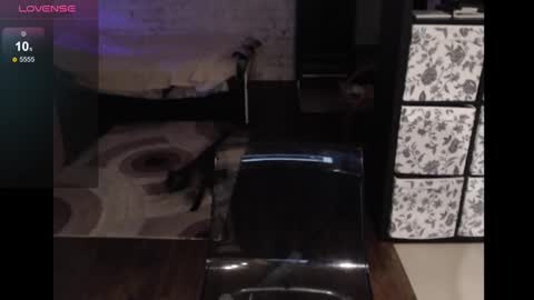 Sasha online show from 12.06.24