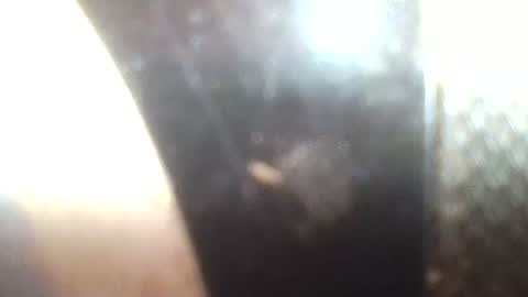 Mrs Venus online show from 01.30.25