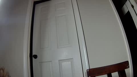 Snapshot of ms_queen chatting on 12.02.24 missqueenbbw online show from 12.02.24