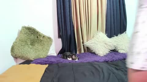 Miss Justine online show from 03.08.26