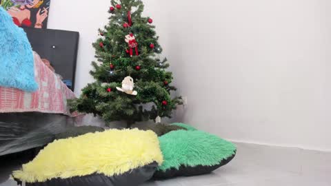 Chloe new account online show from 12.11.24