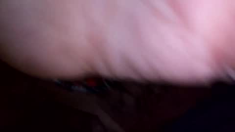 mtnclimber1 online show from 04.21.26