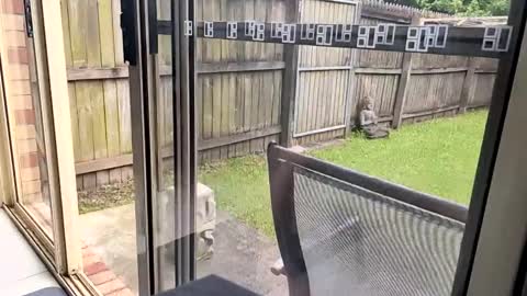 Snapshot of mudjimba chatting on 12.17.24 mudjimba online show from 12.17.24