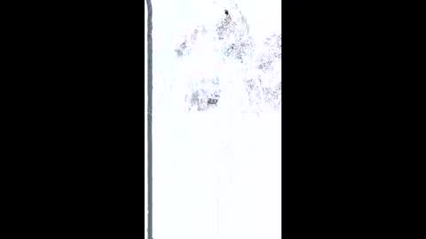 mudjimba online show from 02.26.26