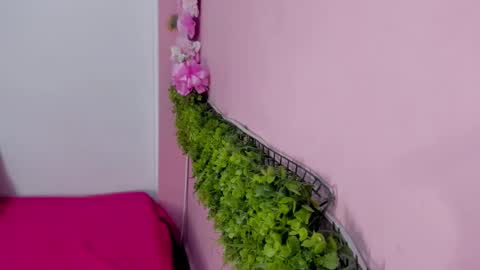 Mulan online show from 03.10.26