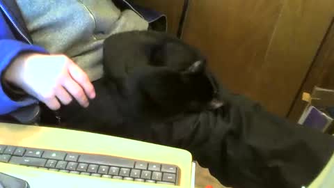 muller520 online show from 02.11.25