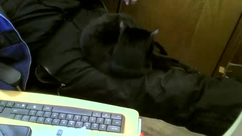 muller520 online show from 02.12.25