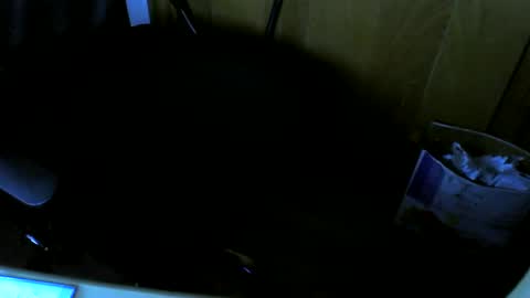 muller520 online show from 02.21.25