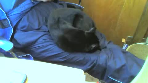 muller520 online show from 09.15.25