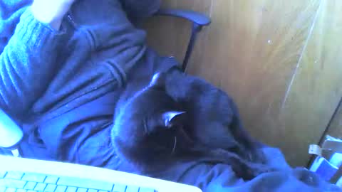 muller520 online show from 04.02.26