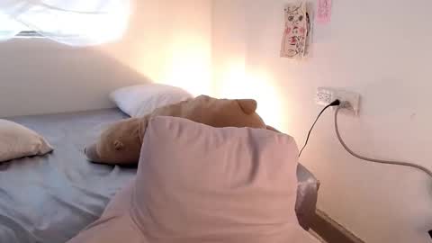   online show from 02.17.26