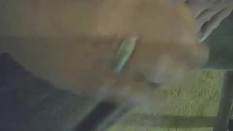 musicman2021 online show from 10.26.25