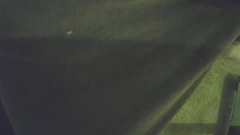 musicman2021 online show from 11.01.25