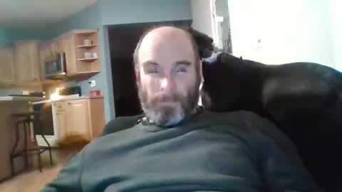 vienna online show from 01.07.26