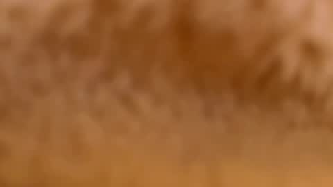 Snapshot of myassistant chatting on 02.12.25 Mya-be Yours P online show from 02.12.25