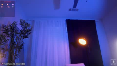 Liss Next stream December1 online show from 02.04.25