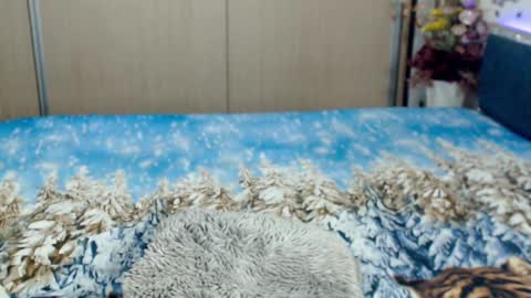 Myrabelle24 online show from 03.05.25