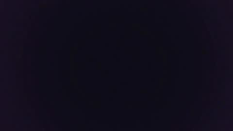 MysteryMonkey online show from 01.11.25