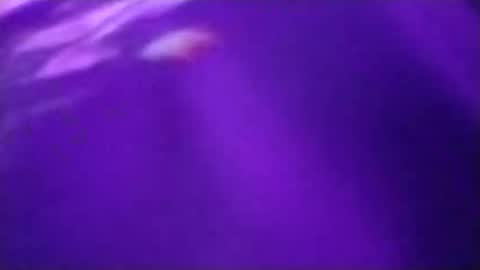 n298033 online show from 09.23.25