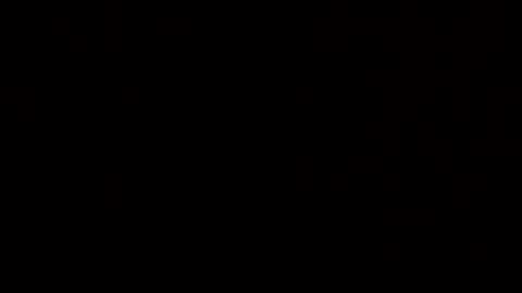 n298033 online show from 11.08.25