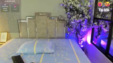 nalapalmer online show from 02.12.26