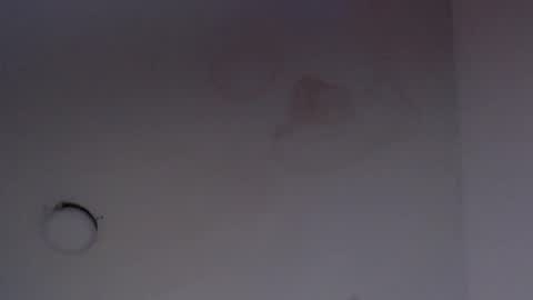 Snapshot of nalaroy chatting on 03.12.25 NALAROY online show from 03.12.25