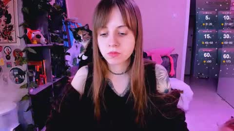 Monday-Friday 12-4 AM and 6-9 AM New York time online show from 02.24.25