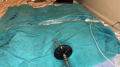 nastyknave online show from 10.10.25