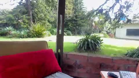 NatashaDiamond online show from 06.23.26