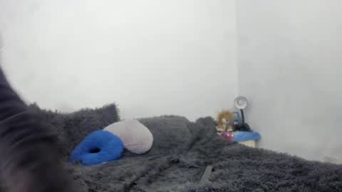 Nathaly online show from 09.15.25