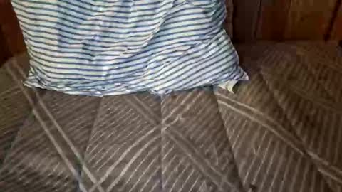 Snapshot of nativejoker_1995 chatting on 10.04.25 nativejoker_1995 online show from 10.04.25