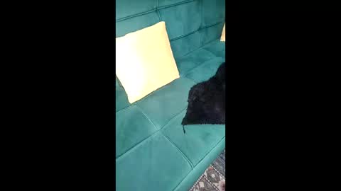 call me sheyda online show from 04.21.26