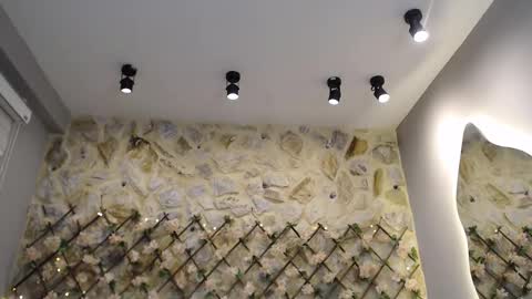 NEBULA  online show from 01.17.26