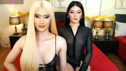 F R A N Z I A online show from 03.27.26